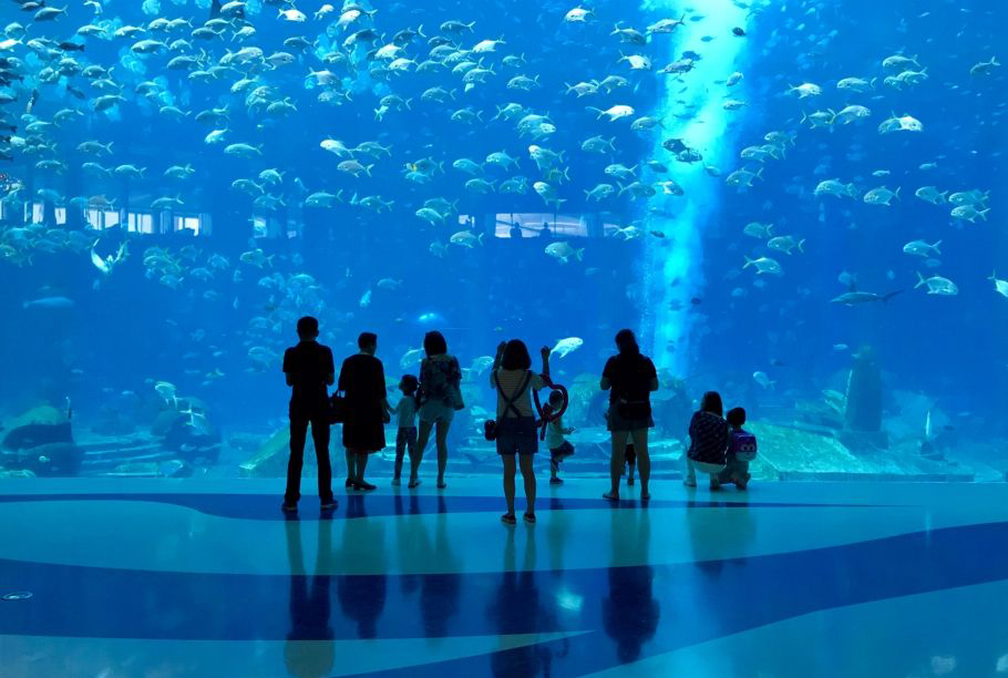 4-商業體mall 水族館.jpg