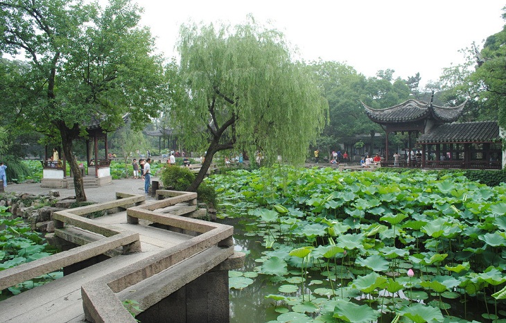 五-3 拙政園的雨打荷聲.jpg